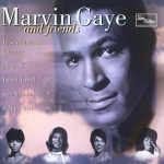 Marvin Gaye Cover24